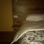 Kamp Brda And *
