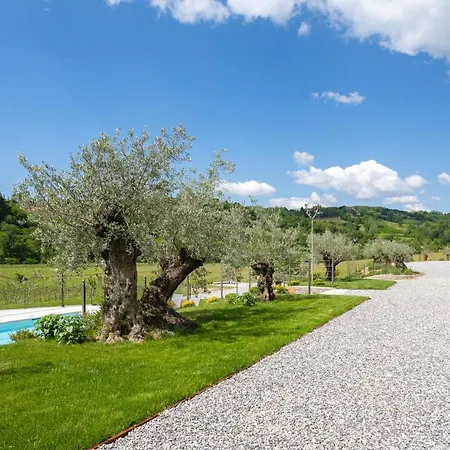 Kamp Brda And Camping