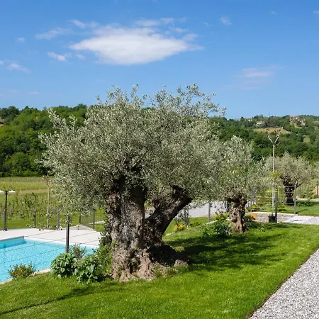 Kamp Brda And * Kojsko