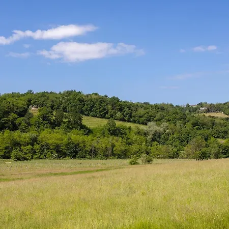 Kamp Brda And Kojsko