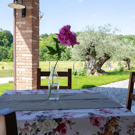 Kamp Brda And * Kojsko