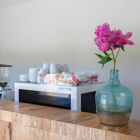 Kamp Brda And 营地 Kojsko