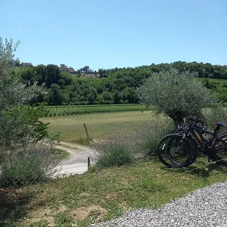 营地 Kamp Brda And Kojsko