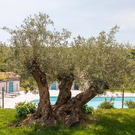 Kemping Kamp Brda And Kojsko