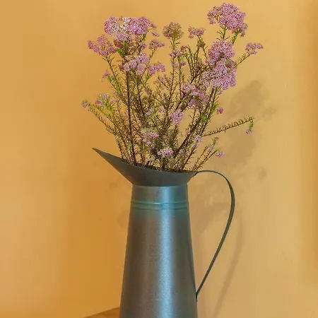 营地 Kamp Brda And *