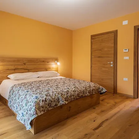 营地 Kamp Brda And *