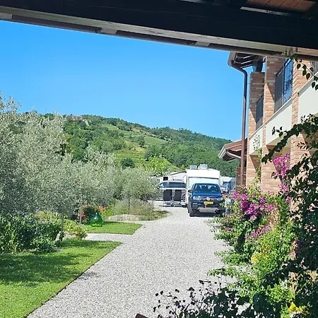 营地 Kamp Brda And *