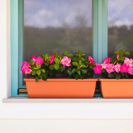 Kamp Brda And Kemping Kojsko