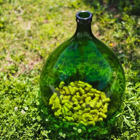 Kamp Brda And 营地