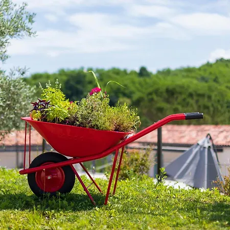 Kamp Brda And 营地