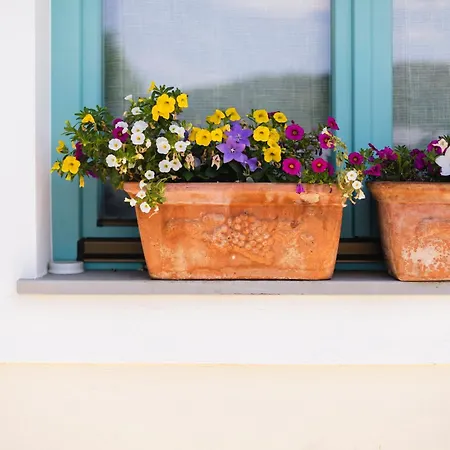 营地 Kamp Brda And