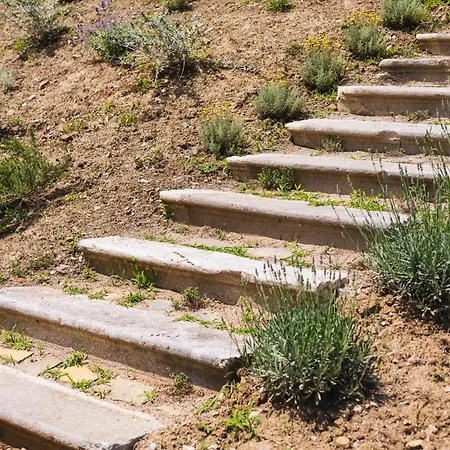 营地 Kamp Brda And