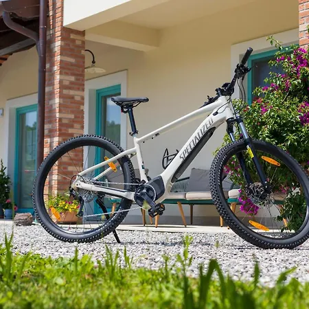 Kamp Brda And 营地 Kojsko