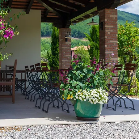 Kamp Brda And 营地