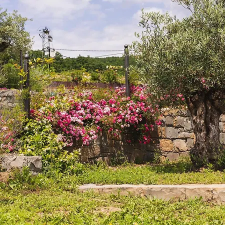 Kemping Kamp Brda And Kojsko