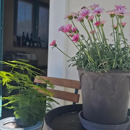 Kamp Brda And Kojsko