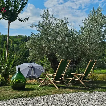 Kamp Brda And *