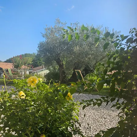 Campsite Kamp Brda And