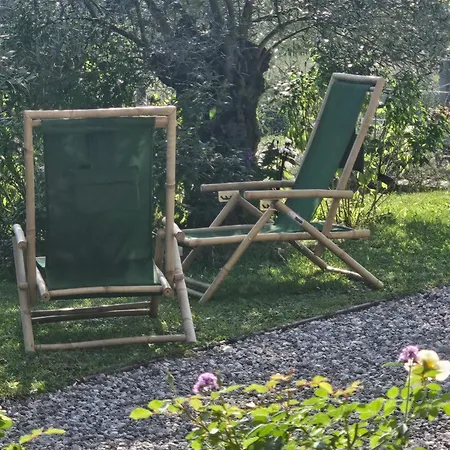 Kamp Brda And *
