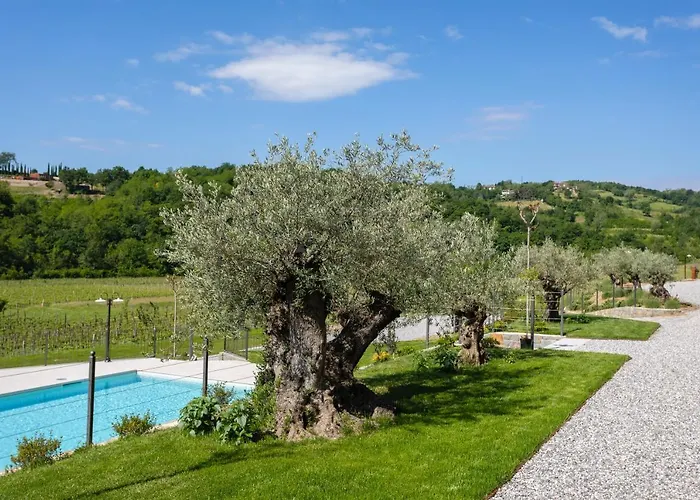 Kamp Brda And * Kojsko