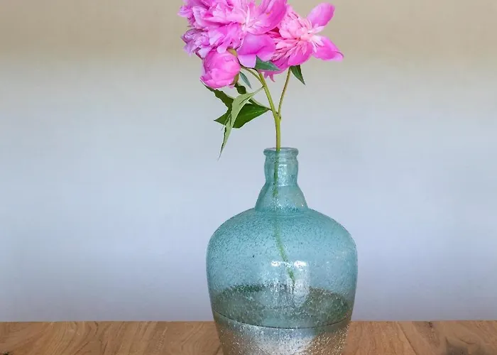 Kamp Brda And * Kojsko