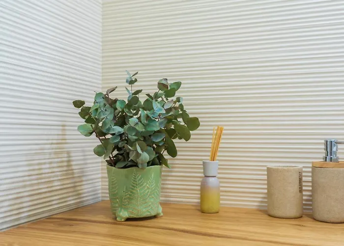 Kamp Brda And Kojsko