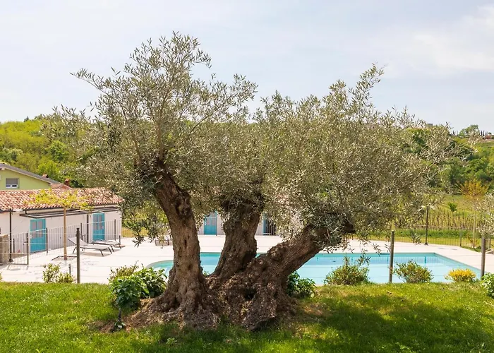 キャンプ場 Kamp Brda And Kojsko