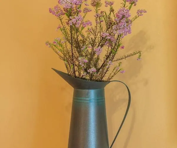 Κάμπινγκ Kamp Brda And *