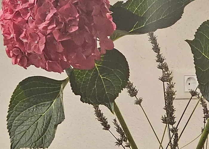 Kamp Brda And Campsite