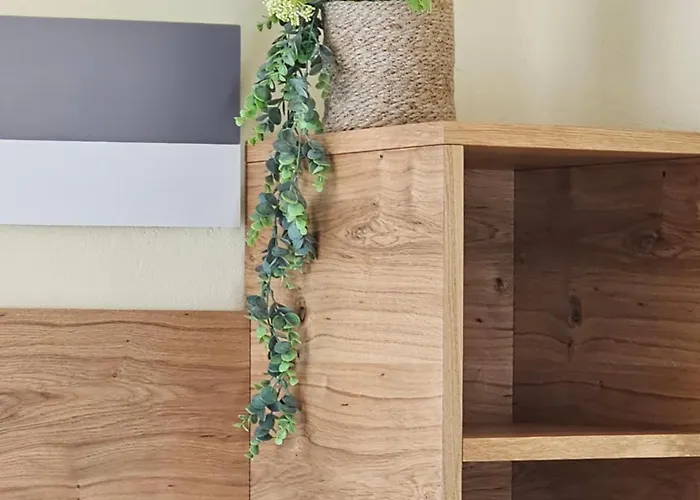 Kamp Brda And キャンプ場 *