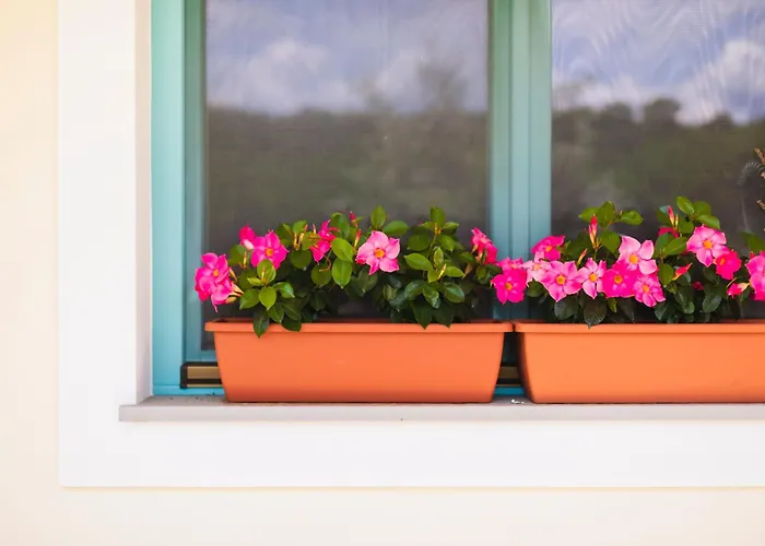 Kamp Brda And Campsite Kojsko