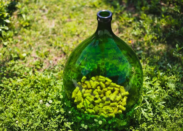 Kamp Brda And Κάμπινγκ