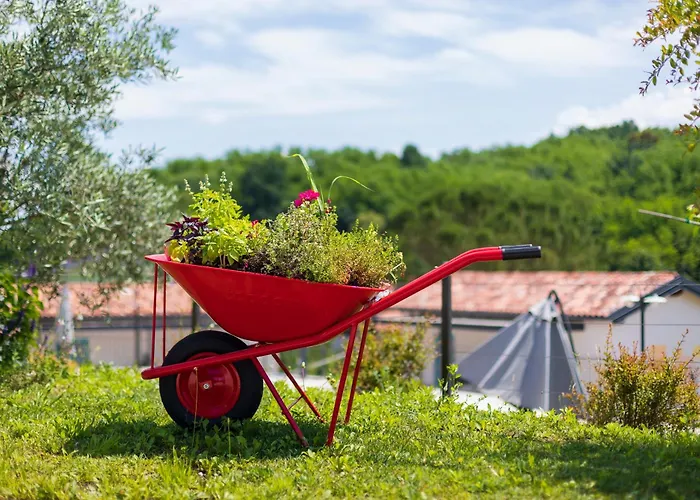 Kamp Brda And Κάμπινγκ