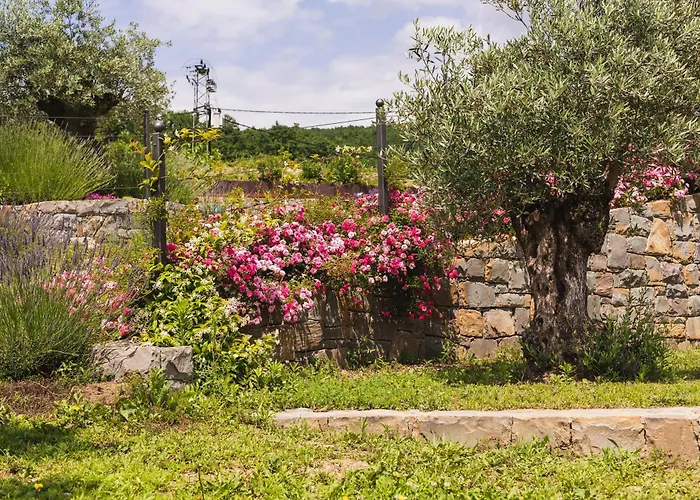 キャンプ場 Kamp Brda And Kojsko