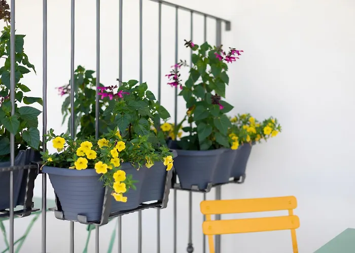 Κάμπινγκ Kamp Brda And *