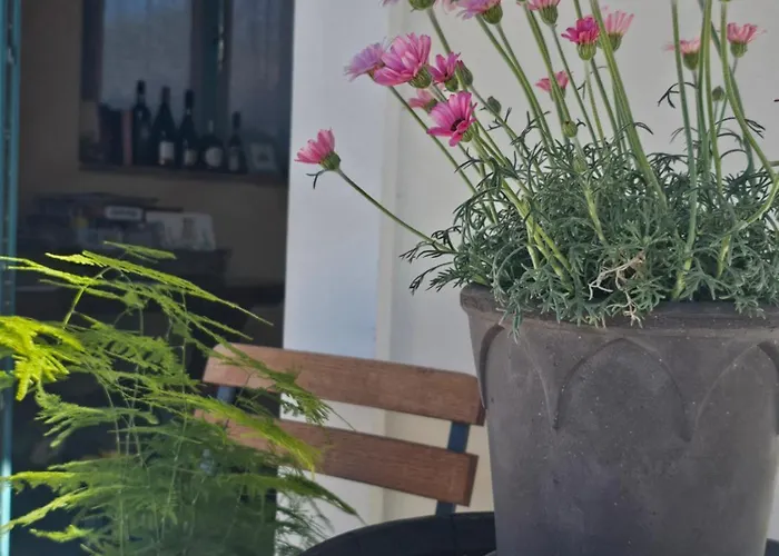 Kamp Brda And Kojsko